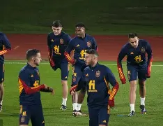 开云体验APP官网入口-西班牙队简介